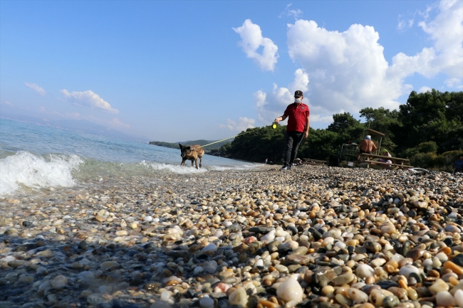 Narkotiğin hassas burnu "Çayra" emekli oldu